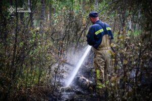 Рятувальники ліквідовують пожежу у Чорнобильських лісах