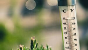 Франція: дані про смертність у Іль-де-Франс суттєво переглянули