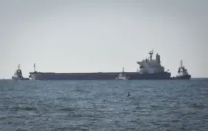 Чорне море біля узбережжя